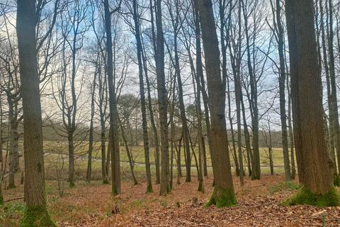 undefined, Boat Wood (about 4.25 acres), Biddenden, Kent  TN27