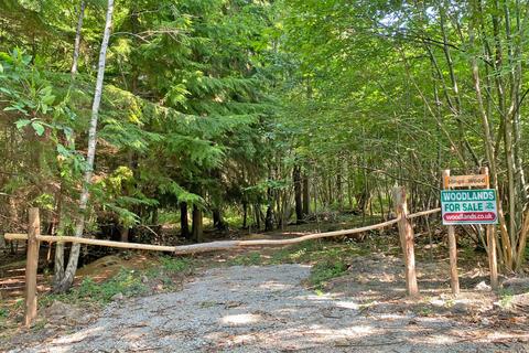 undefined, Hinge Wood (4 acres), Lamberhurst, near Tunbridge Wells, Kent TN3