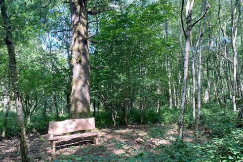 undefined, Hinge Wood (4 acres), Lamberhurst, near Tunbridge Wells, Kent TN3