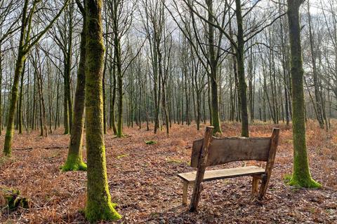 undefined, Cape Wood (4.75 acres), Near Cranleigh, Surrey RH12