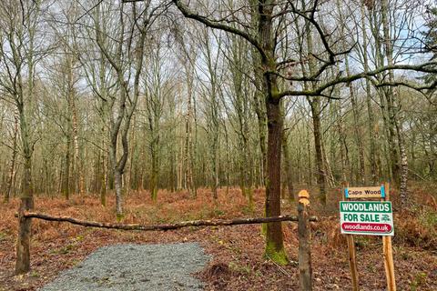 undefined, Cape Wood (4.75 acres), Near Cranleigh, Surrey RH12