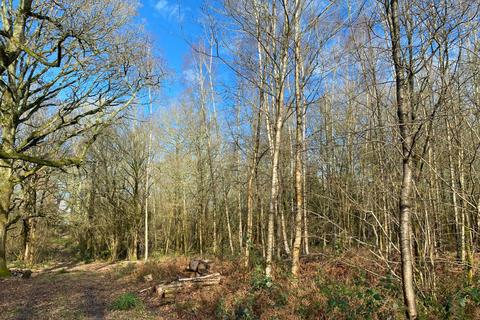 undefined, Cape Wood (4.75 acres), Near Cranleigh, Surrey RH12