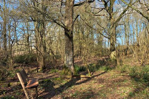 undefined, Barbary Wood (2.75 acres), Near Cranleigh, Surrey RH12