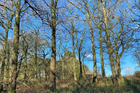 undefined, Barbary Wood (2.75 acres), Near Cranleigh, Surrey RH12