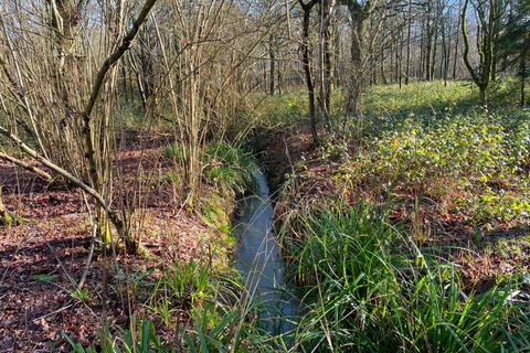 undefined, Barbary Wood (2.75 acres), Near Cranleigh, Surrey RH12