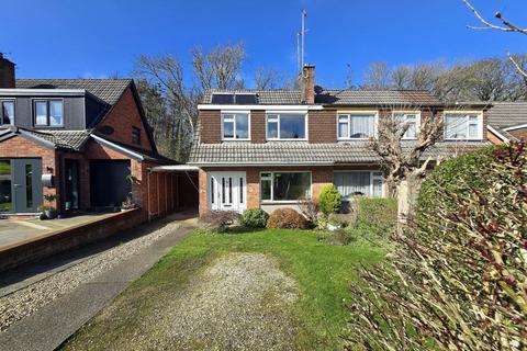 undefined, Meadow Park, Bideford