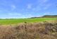 Additional image 21 of Standish, Stonehouse, Gloucestershire, GL10