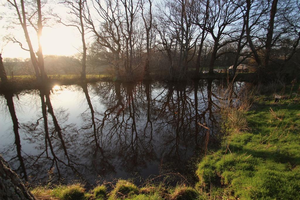 Pond