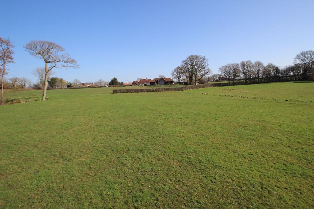 Field