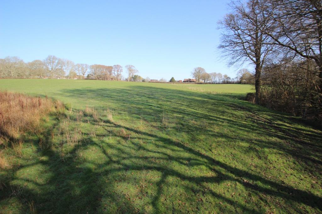 Field 2