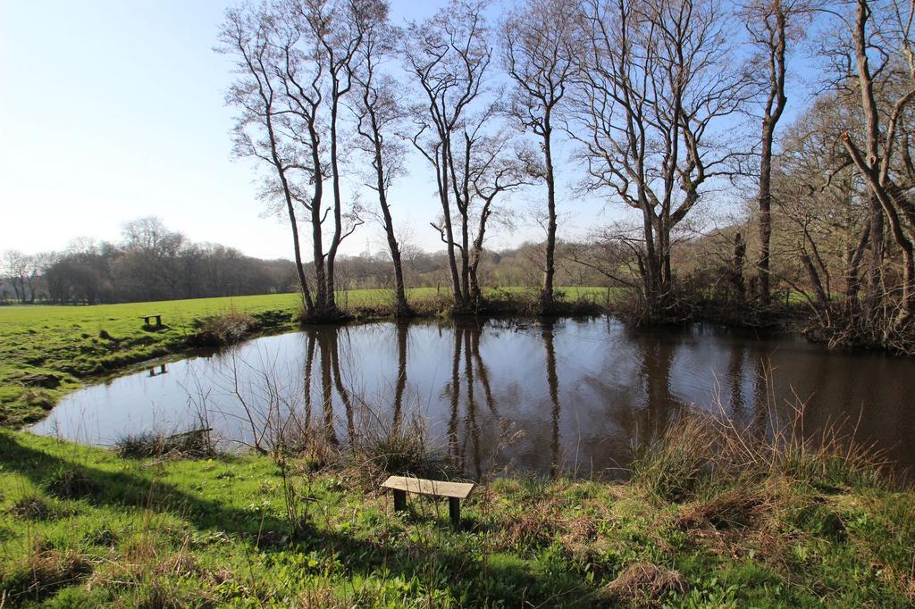 Pond