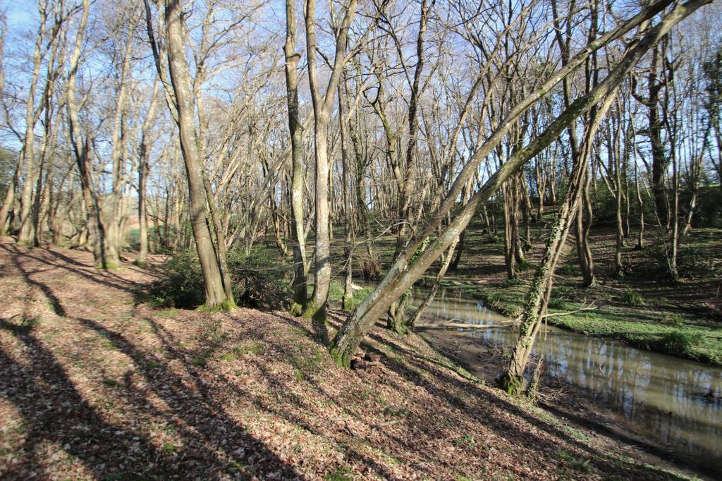 Woodland