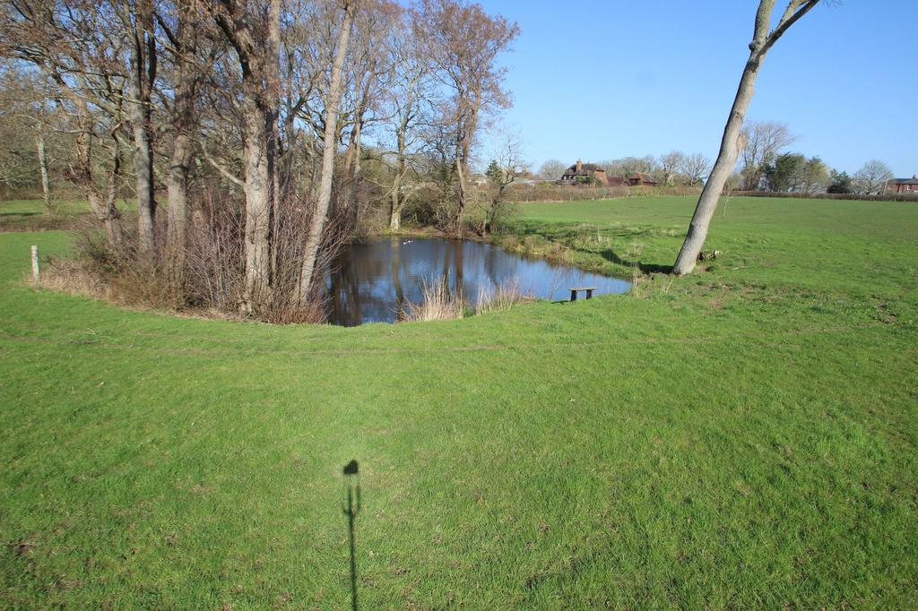 Pond