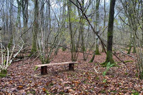 undefined, Emelye Wood (about 5 acres), Kilndown, near Tunbridge Wells, Kent TN17
