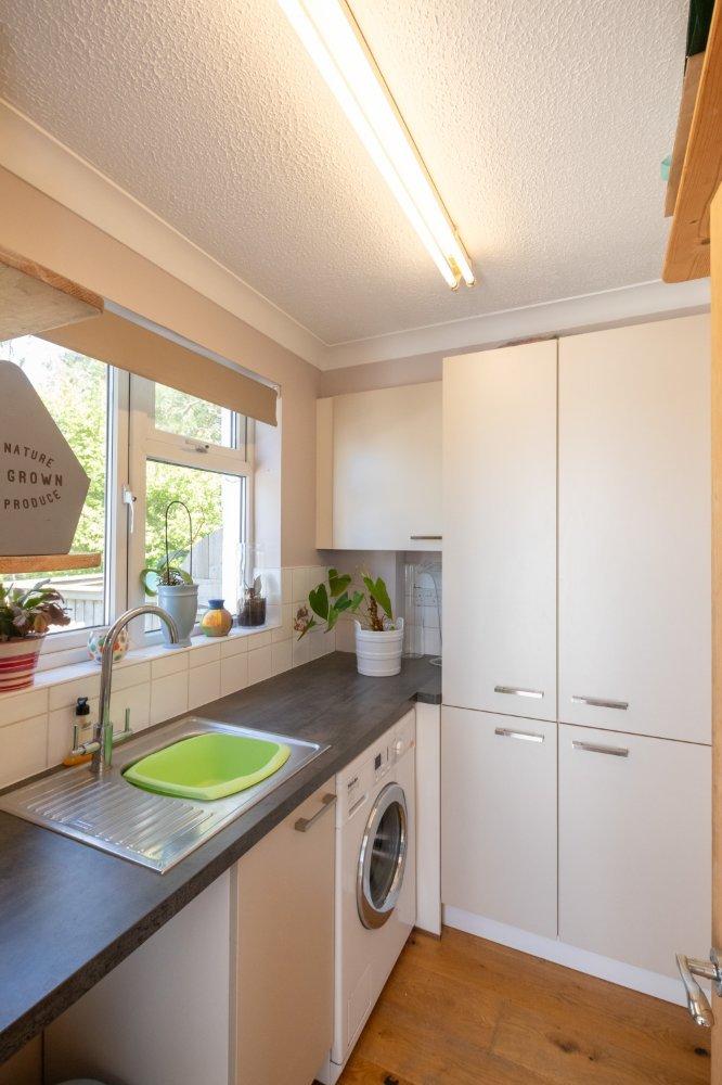 Picture No. 16