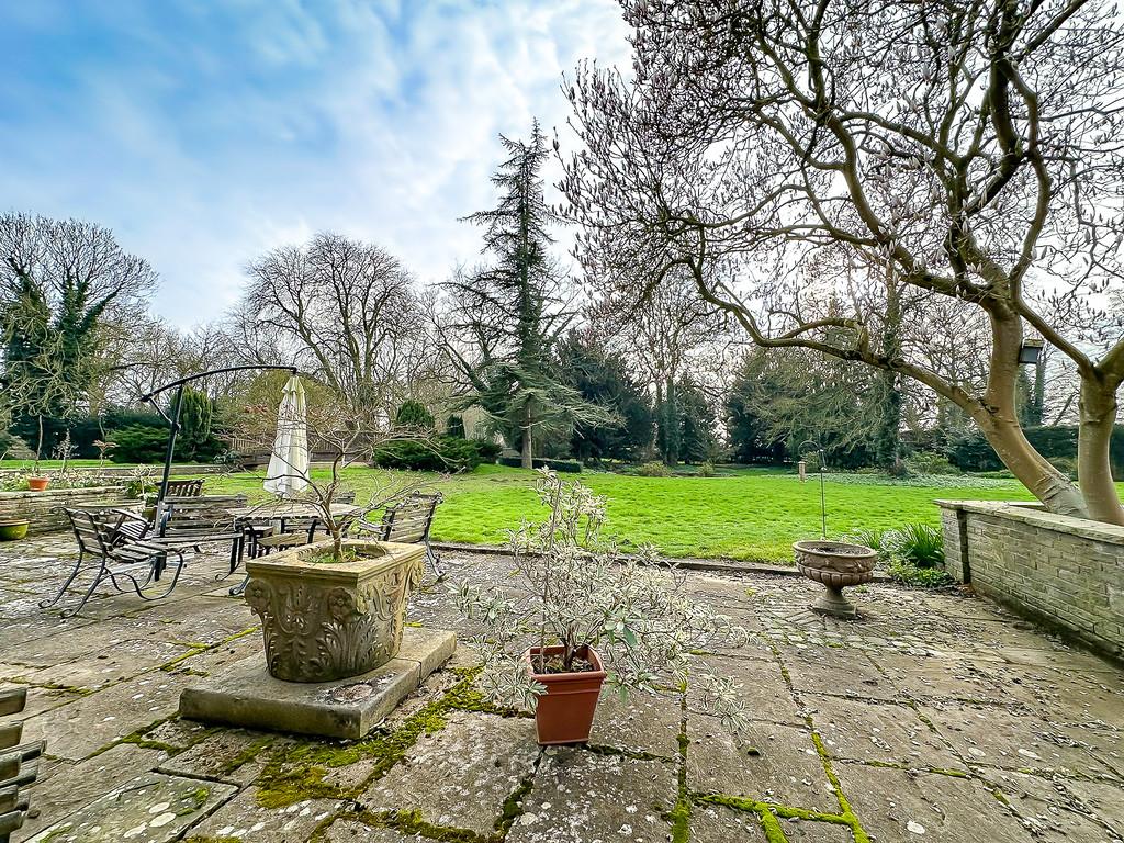 Garden (1)