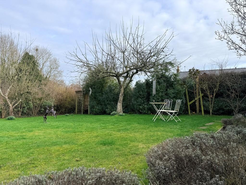 Garden 2