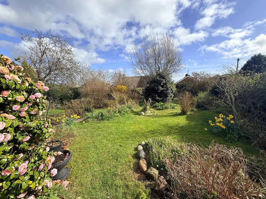 Garden 1