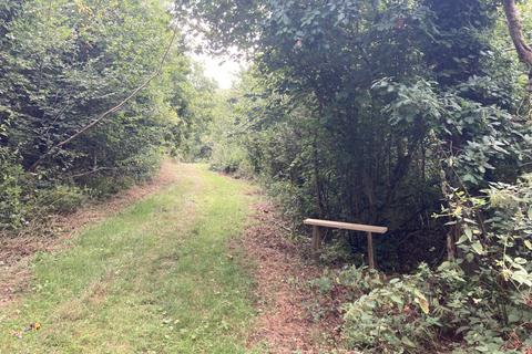 undefined, Chase Wood (5.5 acres), Higher Kingcombe, Dorset DT2