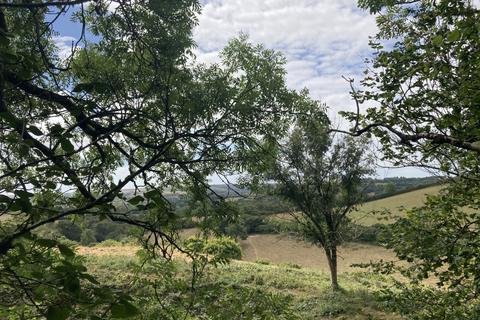 undefined, Chase Wood (5.5 acres), Higher Kingcombe, Dorset DT2