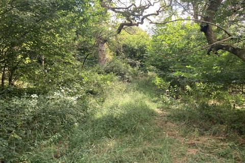 undefined, Chase Wood (5.5 acres), Higher Kingcombe, Dorset DT2