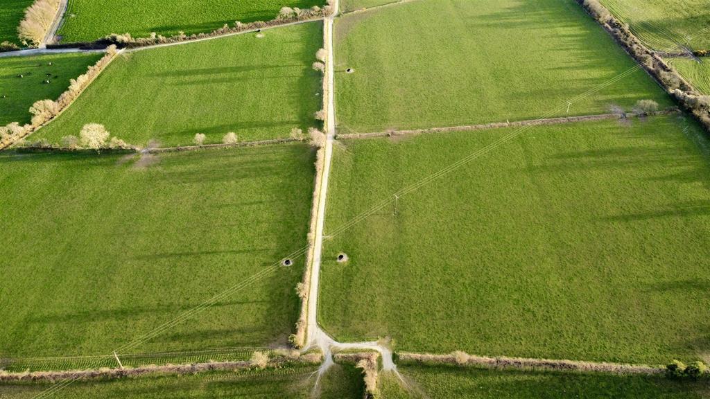 Dji fly 20260318 174532 337 1773856345664 photo op