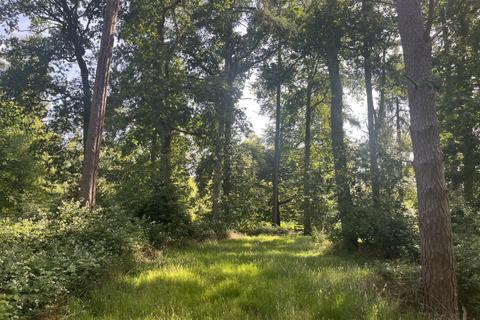 undefined, Hornbill Wood (about 3 and two third acres), Clifton Hampden, Abingdon, Oxfordshire OX44