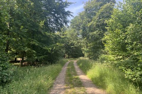 undefined, Hornbill Wood (about 3 and two third acres), Clifton Hampden, Abingdon, Oxfordshire OX44