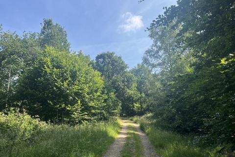 undefined, Flittern Wood (2 and three quarter acres), Clifton Hampden, Abingdon, Oxfordshire OX44