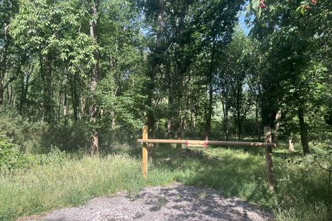 undefined, Flittern Wood (2 and three quarter acres), Clifton Hampden, Abingdon, Oxfordshire OX44