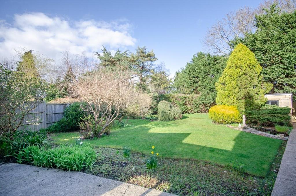 Rear garden.jpg