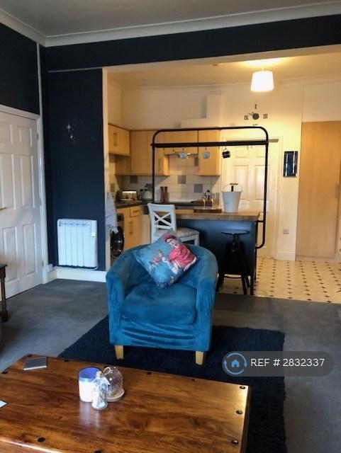 Living Room / Kitchen