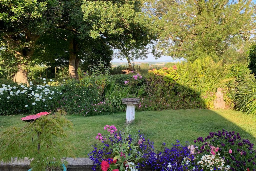 Garden to rear