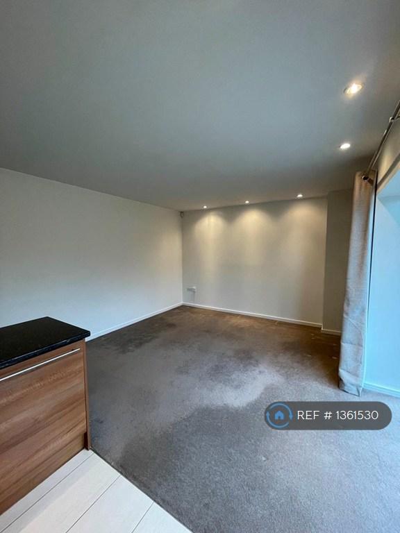 Kitchen/Living Room