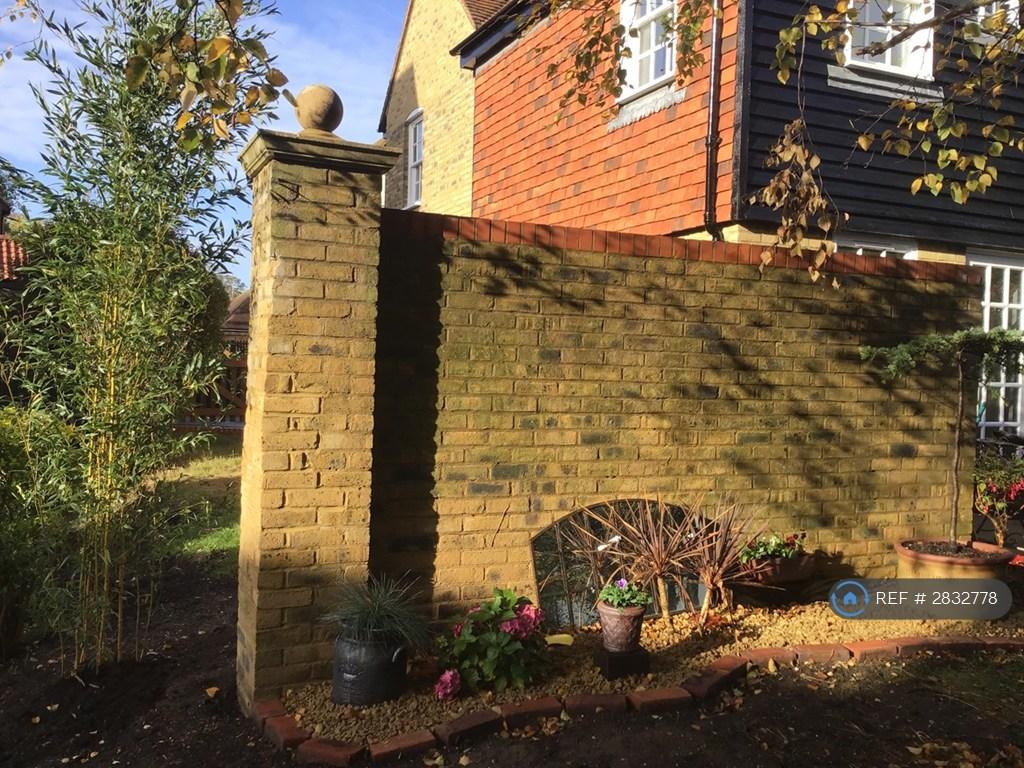 Back Garden
