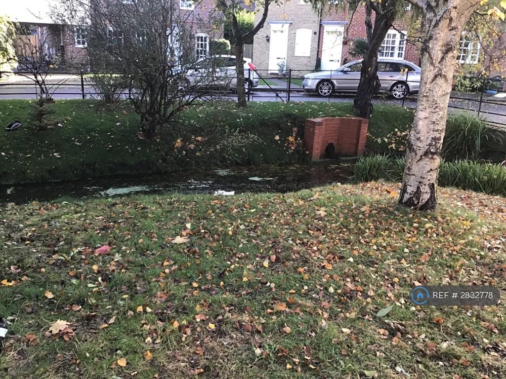 Back Garden