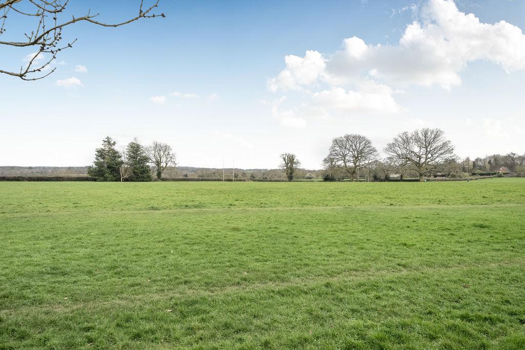 Fields