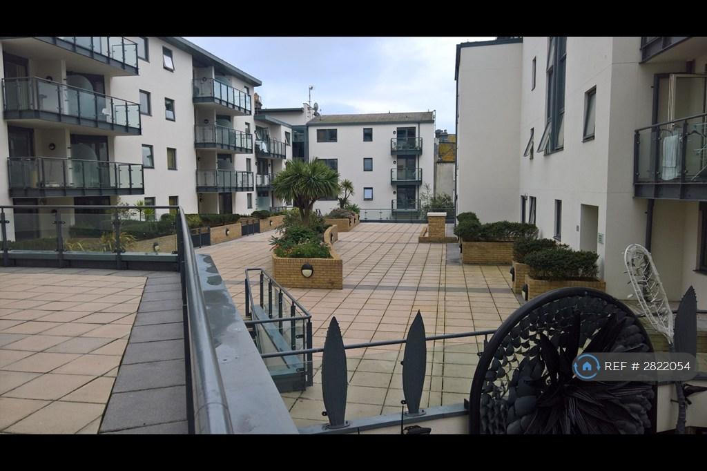 See Who's Come2visit You From Indoors Or Terrace