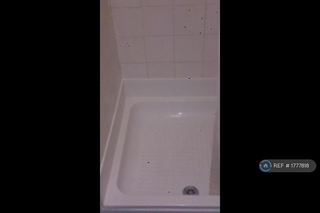 Shower Area