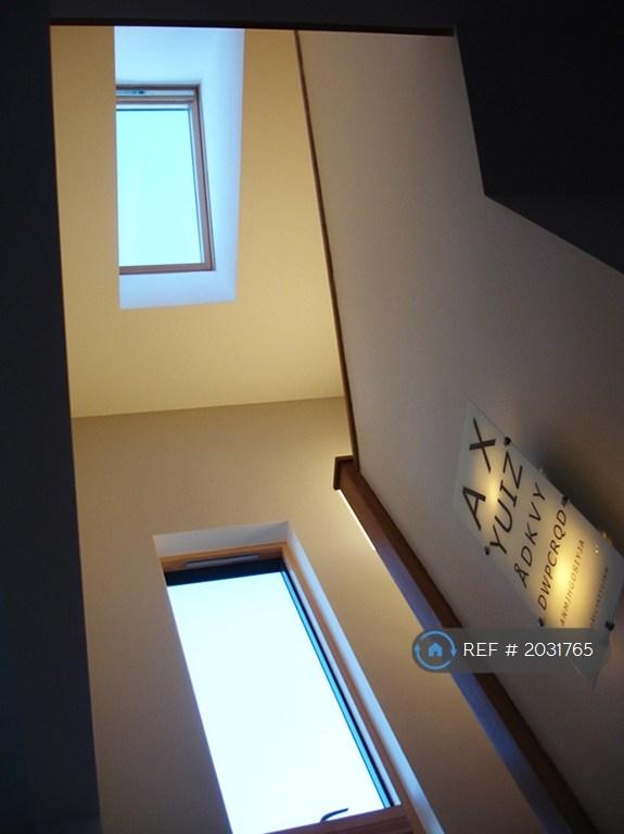 Roof Light