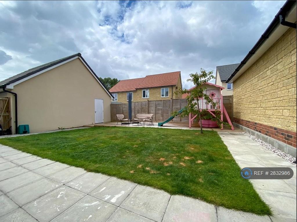 West Facing Garden