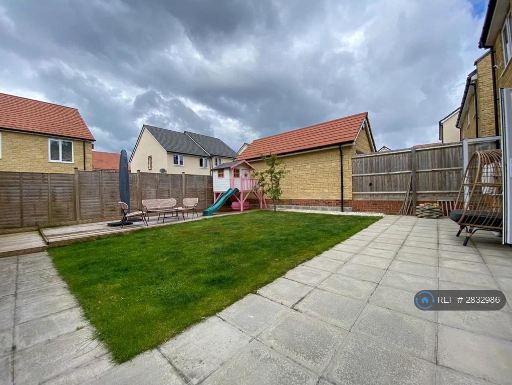West Facing Garden