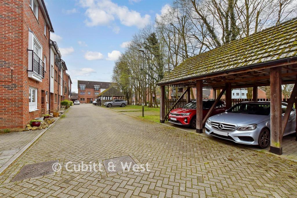 Driveway/Parking