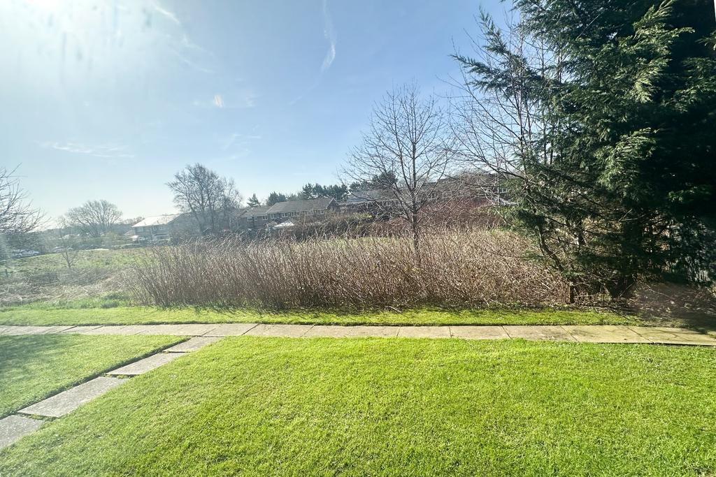 Photograph 5