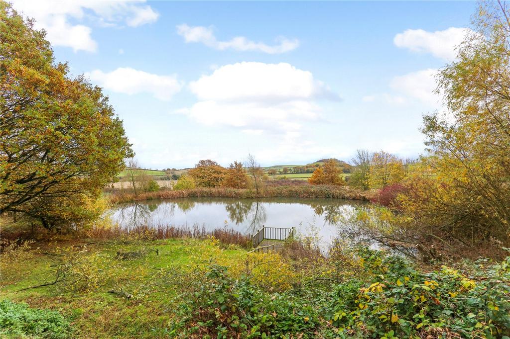 Lake &amp; View