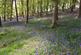 Additional image 12 of Llanidloes Powys