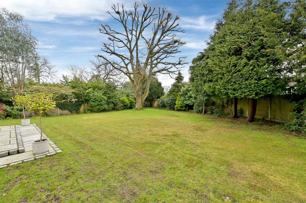 Rear Gardens