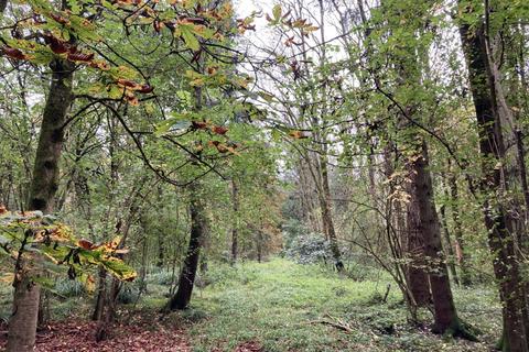 undefined, Conigre Wood (about 3 and a third acres), Bradford-on-avon, Wiltshire BA15