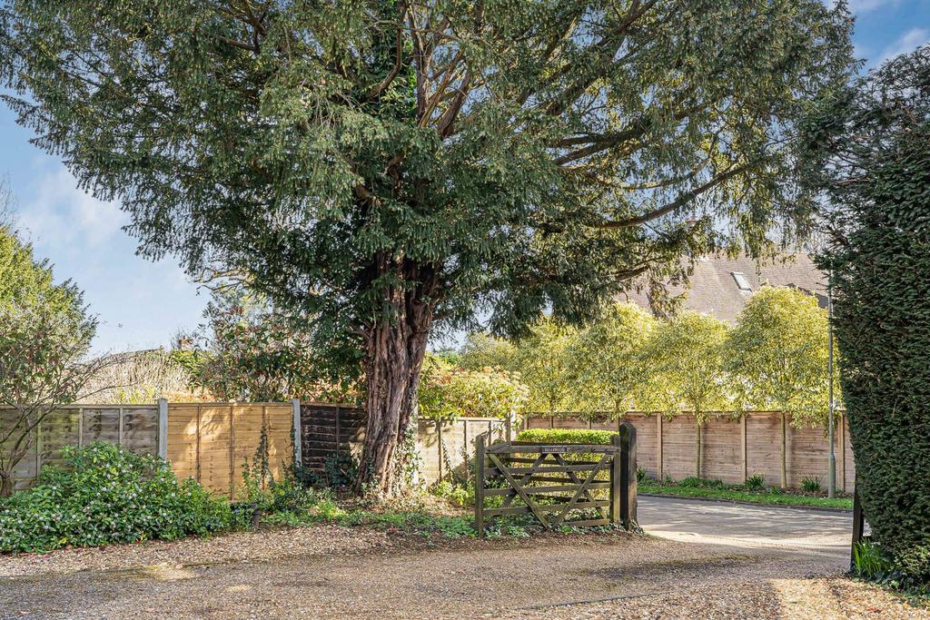 Driveway