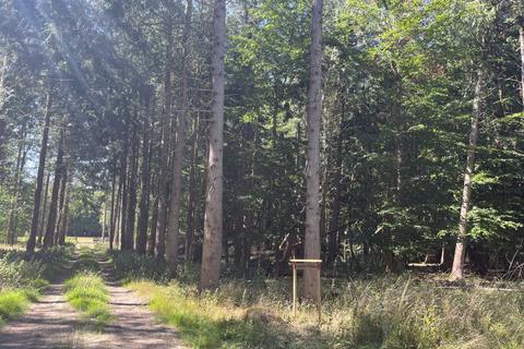 undefined, Leader Copse (about 6 acres), Tadley, Basingstoke, Hampshire RG26